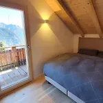 Baumfuchs Direkt An Der Talabfahrt Belalp * Blatten bei Naters