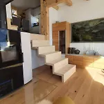 Baumfuchs Direkt An Der Talabfahrt Belalp * Blatten bei Naters