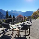 Baumfuchs Direkt An Der Talabfahrt Belalp