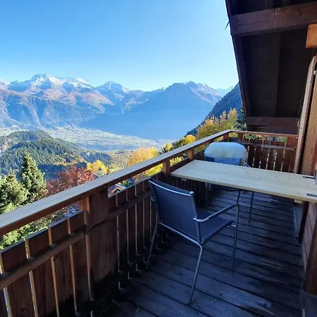 Baumfuchs Direkt An Der Talabfahrt Belalp