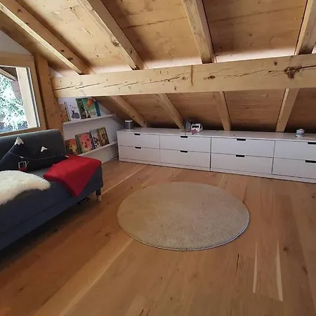 Baumfuchs Direkt An Der Talabfahrt Belalp * Blatten bei Naters