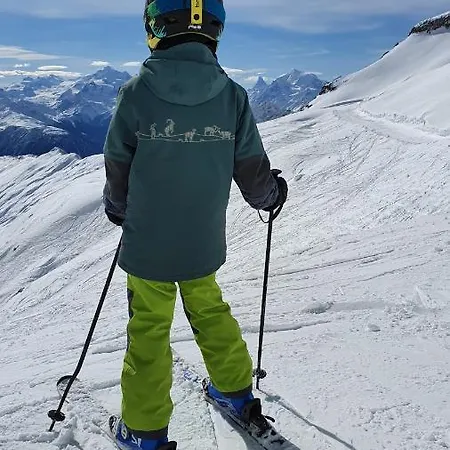 Chalet Baumfuchs Direkt An Der Talabfahrt Belalp Blatten bei Naters
