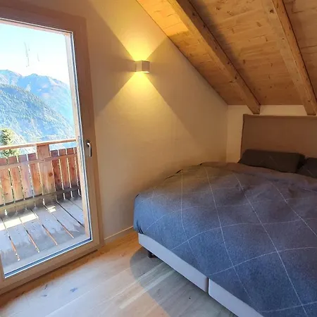 Baumfuchs Direkt An Der Talabfahrt Belalp * Blatten bei Naters