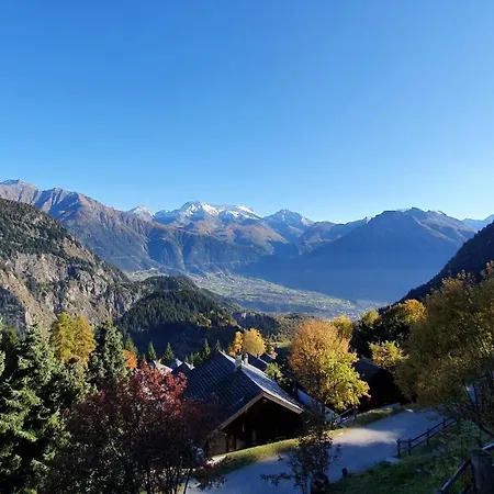 Baumfuchs Direkt An Der Talabfahrt Belalp