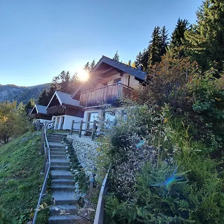 Baumfuchs Direkt An Der Talabfahrt Belalp Chalet Blatten bei Naters
