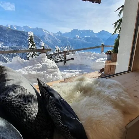 Baumfuchs Direkt An Der Talabfahrt Belalp *
