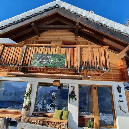 Baumfuchs Direkt An Der Talabfahrt Belalp * Blatten bei Naters