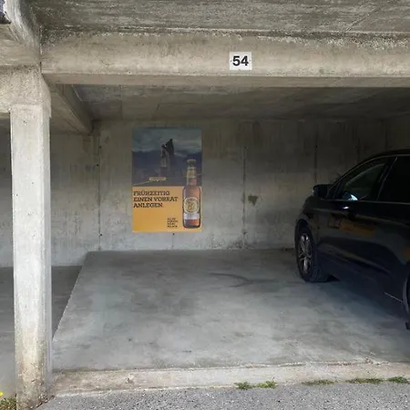 Baumfuchs Direkt An Der Talabfahrt Belalp Blatten bei Naters