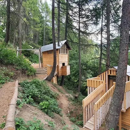 Baumfuchs Direkt An Der Talabfahrt Belalp Chalet Blatten bei Naters