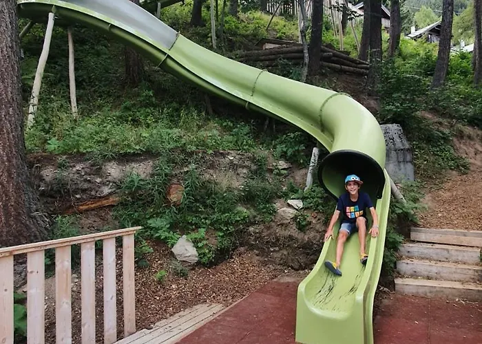 Baumfuchs Direkt An Der Talabfahrt Belalp *