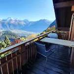Baumfuchs Direkt An Der Talabfahrt Belalp