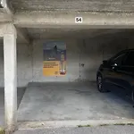 Baumfuchs Direkt An Der Talabfahrt Belalp Blatten bei Naters