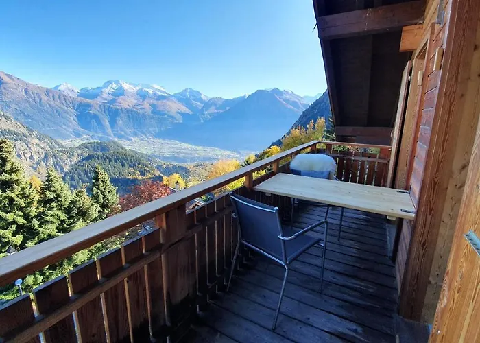 Baumfuchs Direkt An Der Talabfahrt Belalp