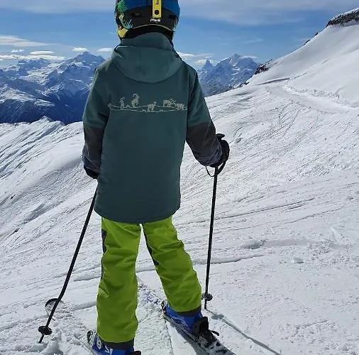 Dağ evi Baumfuchs Direkt An Der Talabfahrt Belalp Blatten bei Naters