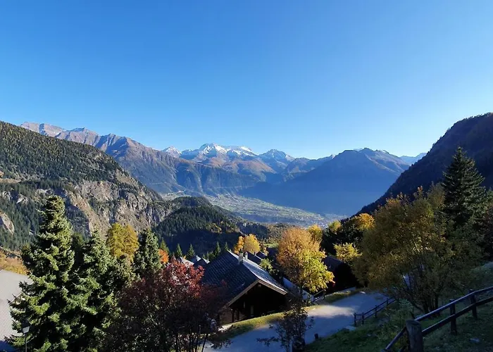 Baumfuchs Direkt An Der Talabfahrt Belalp