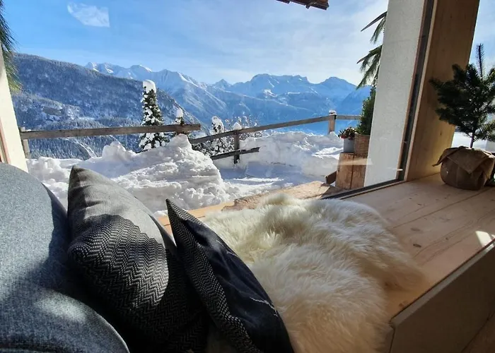 Baumfuchs Direkt An Der Talabfahrt Belalp *
