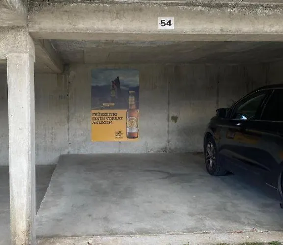 Baumfuchs Direkt An Der Talabfahrt Belalp Blatten bei Naters