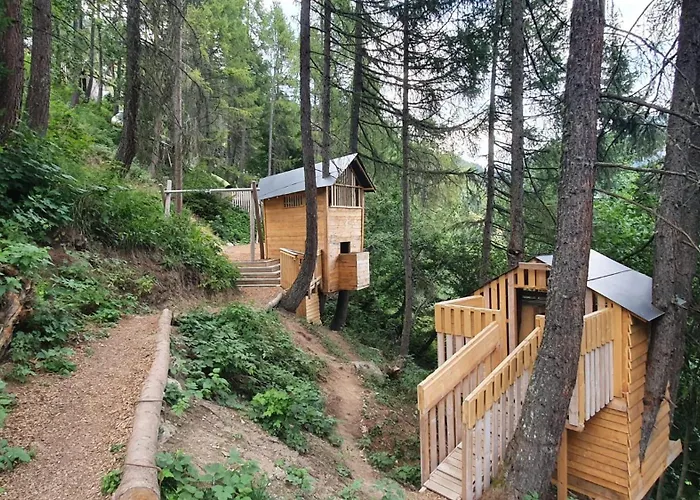 Baumfuchs Direkt An Der Talabfahrt Belalp Dağ evi Blatten bei Naters
